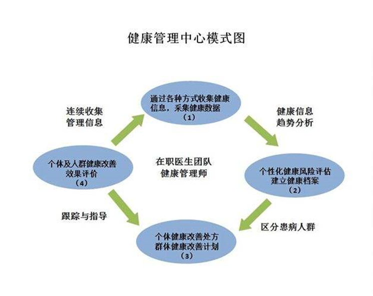 健康管理师 守护健康的专业规划师，从信息咨询到全面干预
